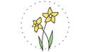 Daffoil